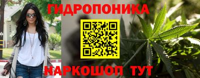 apvp Пенза
